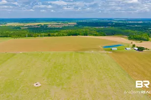 24795A County Road 32, Elberta, AL 36530 - Photo 46