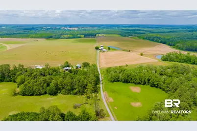 24795A County Road 32, Elberta, AL 36530 - Photo 38