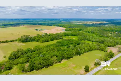 24795A County Road 32, Elberta, AL 36530 - Photo 40