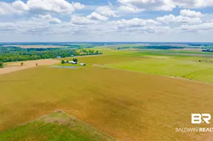 24795A County Road 32, Elberta, AL 36530 - Photo 56