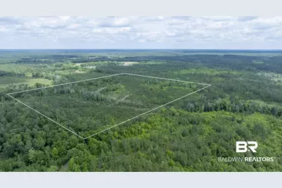 0 Phillipsville Road, Bay Minette, AL 36507 - Photo 8