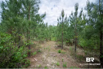 0 Phillipsville Road, Bay Minette, AL 36507 - Photo 16