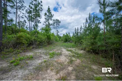 0 Phillipsville Road, Bay Minette, AL 36507 - Photo 20