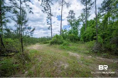 0 Phillipsville Road, Bay Minette, AL 36507 - Photo 14