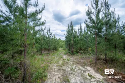 0 Phillipsville Road, Bay Minette, AL 36507 - Photo 18
