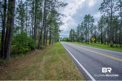 0 Phillipsville Road, Bay Minette, AL 36507 - Photo 16