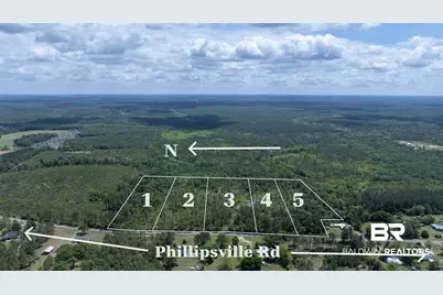 0 Phillipsville Road, Bay Minette, AL 36507 - Photo 6
