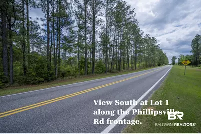 0 Phillipsville Road, Bay Minette, AL 36507 - Photo 12