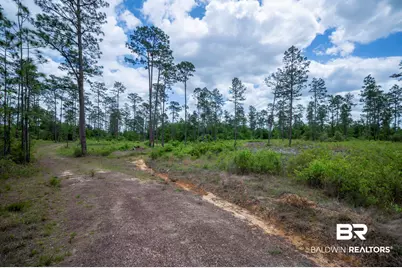 0 Phillipsville Road, Bay Minette, AL 36507 - Photo 18