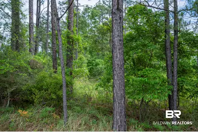 0 Phillipsville Road, Bay Minette, AL 36507 - Photo 16
