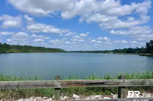 33291 Steelwood Ridge Rd, Loxley, AL 36551 - Photo 24