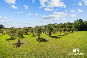 21756 Koier Rd, Robertsdale, AL 36567 - Photo 66