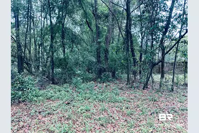 1510 Northview Drive, Mobile, AL 36618 - Photo 4