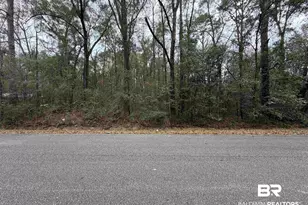 0 Carol St, Mobile, AL 36608 - Photo 1