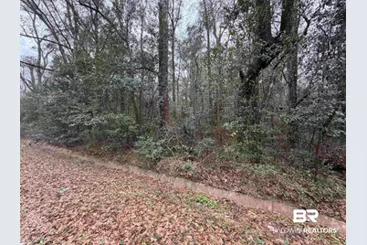0 Carol Street, Mobile, AL 36608 - Photo 2