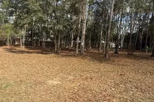 Lot 302 Bunker Loop, Fairhope, AL 36532 - Photo 1
