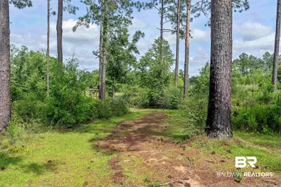 15875 Laurelbrooke Loop, Fairhope, AL 36532 - Photo 44