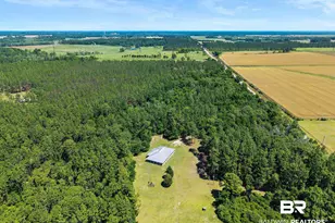 20219 Greek Cemetery Rd, Robertsdale, AL 36567 - Photo 40