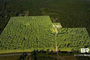 9350 Tompkins Rd, Stockton, AL 36579 - Photo 2