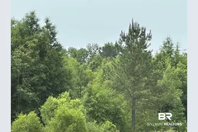 0 E County Road 54, Daphne, AL 36526 - Photo 2