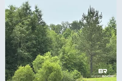 0 E County Road 54, Daphne, AL 36526 - Photo 1