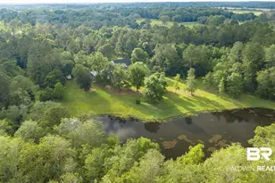 21650 Glass and Spivey Rd, Robertsdale, AL 36567 - Photo 56