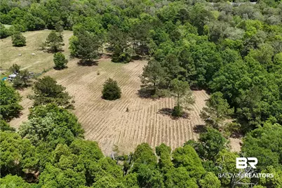 0 Pearson Lane, Robertsdale, AL 36567 - Photo 4