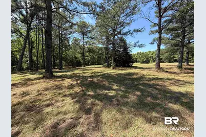 0 Pearson Lane, Robertsdale, AL 36567 - Photo 12