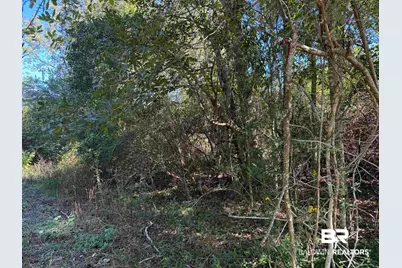 0 Pleasant Hill Road, Century, FL 32535 - Photo 6