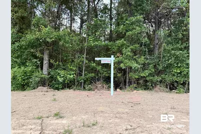 0 Pine Grove Rd Pine Grove Road, Bay Minette, AL 36507 - Photo 8