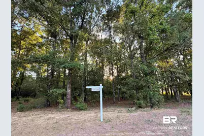0 Pine Grove Rd Pine Grove Road, Bay Minette, AL 36507 - Photo 2
