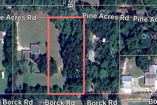 0 Pine Acres Rd, Gulf Shores, AL 36542 - Photo 1