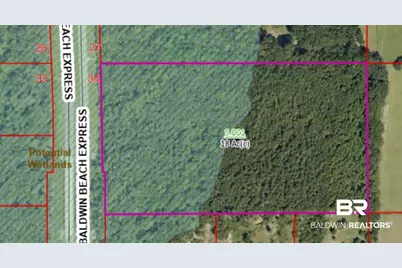 0 Baldwin Beach Express, Robertsdale, AL 36567 - Photo 2