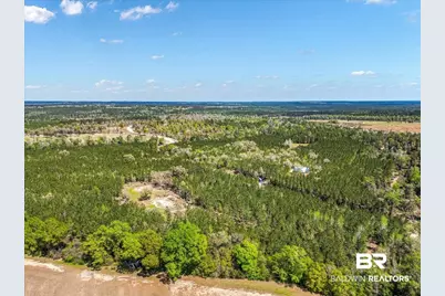 22544 Lechner Road, Robertsdale, AL 36567 - Photo 4
