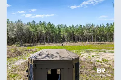 22544 Lechner Road, Robertsdale, AL 36567 - Photo 10