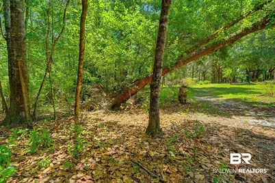 22963 US Highway 98, Foley, AL 36535 - Photo 48