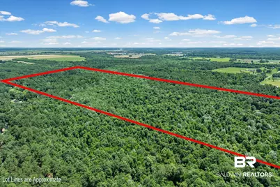 0 Newberry Lane, Foley, AL 36535 - Photo 8