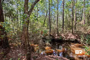 751 Bear Creek Cove, Gulf Shores, AL 36542 - Photo 86