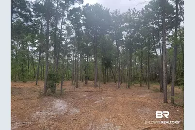 0 Primrose Lane, Gulf Shores, AL 36542 - Photo 2