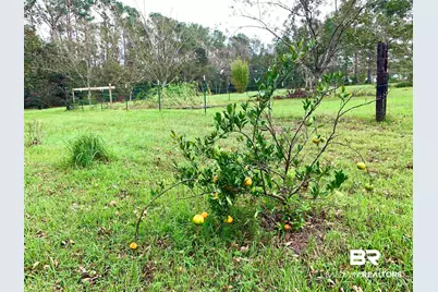 8789 County Road 11, Fairhope, AL 36532 - Photo 10