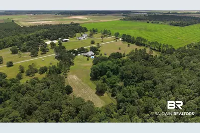 17501A Francis Harrell Road, Elberta, AL 36530 - Photo 4