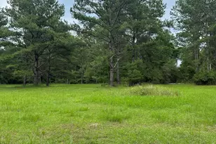 40140 Dogwood Fork Rd, Bay Minette, AL 36507 - Photo 1