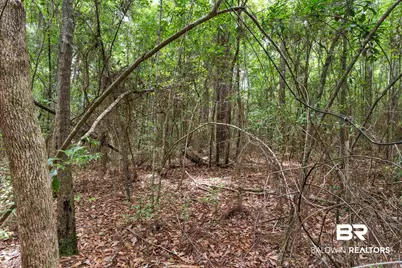 24928 County Road 71, Robertsdale, AL 36567 - Photo 48
