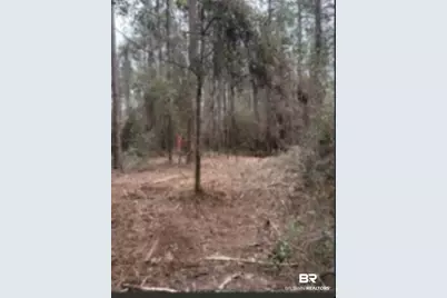 0 Roberts Chapel Road, Mobile, AL 36608 - Photo 6