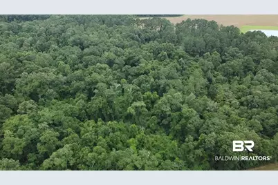 7600 Block Bratt Road, Century, FL 32535 - Photo 30