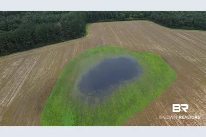 7600 Block Bratt Road, Century, FL 32535 - Photo 12