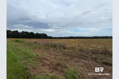 7600 Block Bratt Road, Century, FL 32535 - Photo 6