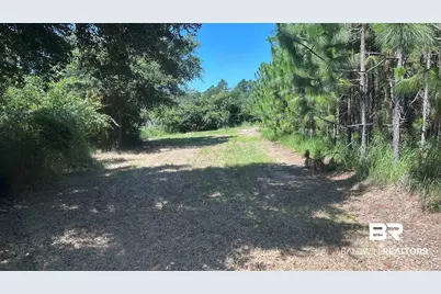20033 Greek Cemetery Road, Robertsdale, AL 36567 - Photo 12