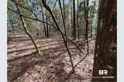 002 Phillipsville Road, Bay Minette, AL 36507 - Photo 2