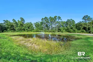 9964 Williams Ln, Elberta, AL 36530 - Photo 62